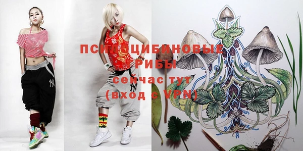 гашишное масло Медвежьегорск