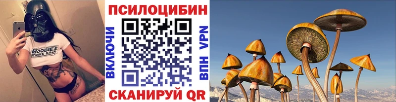купить наркотик  Иноземцево  Галлюциногенные грибы GOLDEN TEACHER 